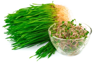 retete light cu seminte germinate