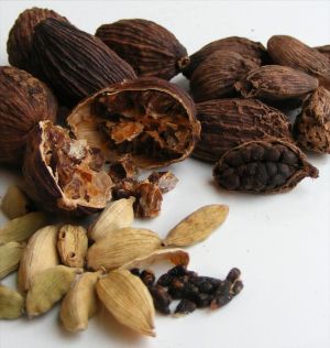 afrodisiac cardamomul 1