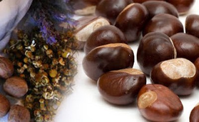 Beneficiile consumului de castane