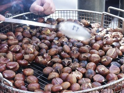 Castanele comestibile elixir pentru sanatate