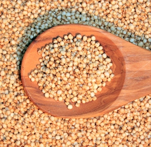 Consuma quinoa mai des