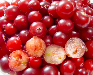 Merișorul - un antioxidant natural