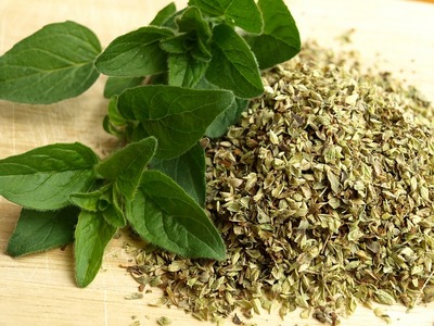 Oregano are multiple beneficii asupra sănătății