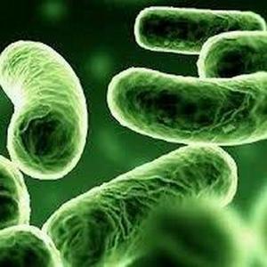 probioticele au grija de sanatatea ta