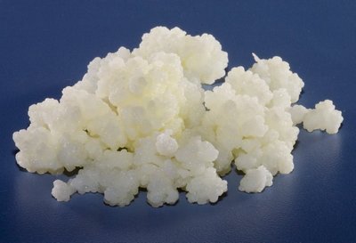 probioticele bacteriile binefacatoare