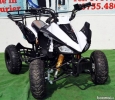 vand ATV TGB Ranger