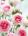 Avatarul lui pink_lady